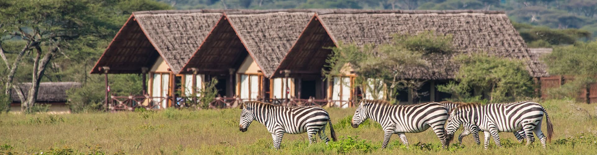 Lake Ndutu Luxury Tented Lodge