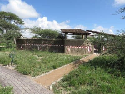 Elevated deck with views over the Ndutu woodland