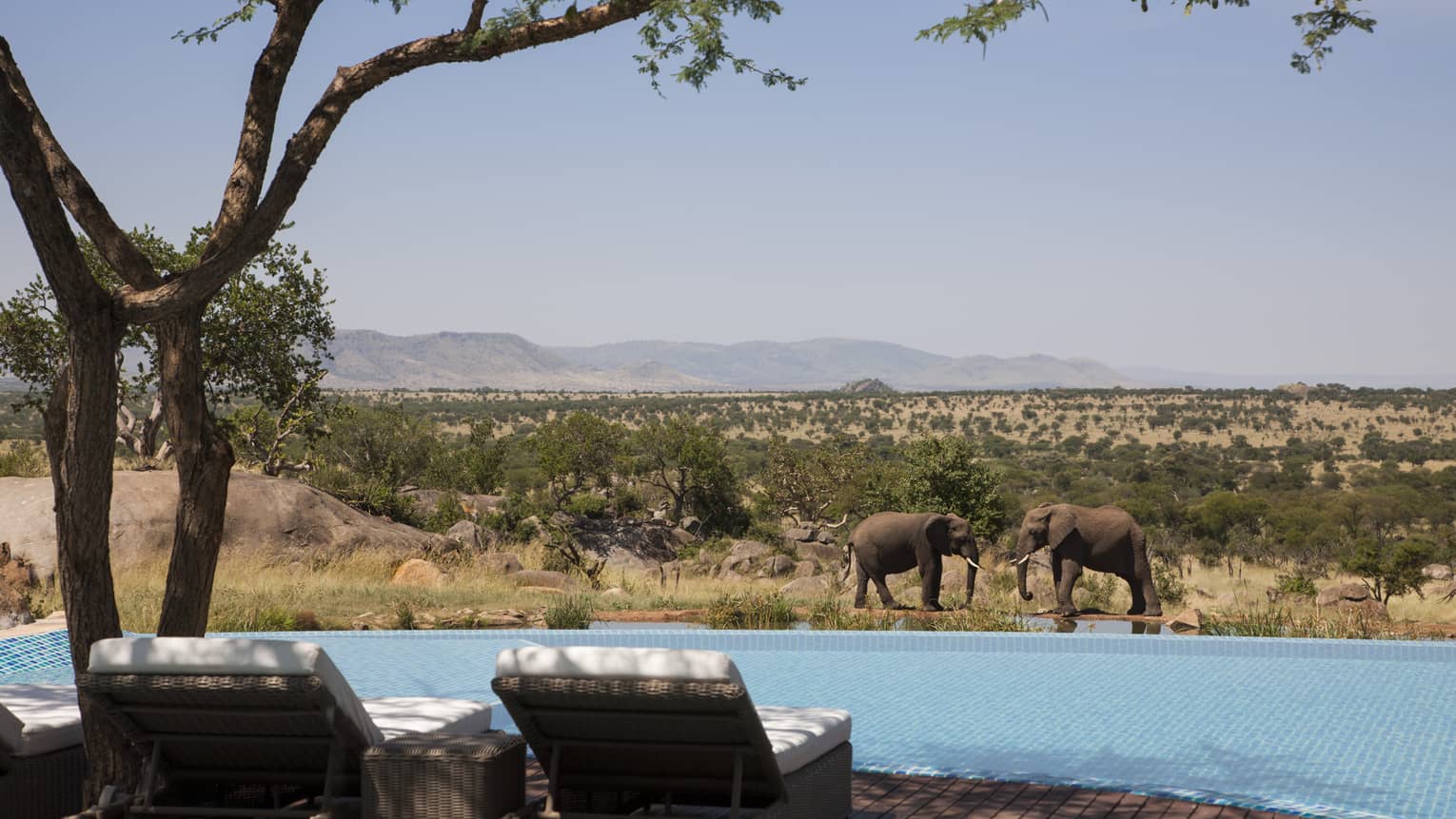 Pool overlooking the waterhole